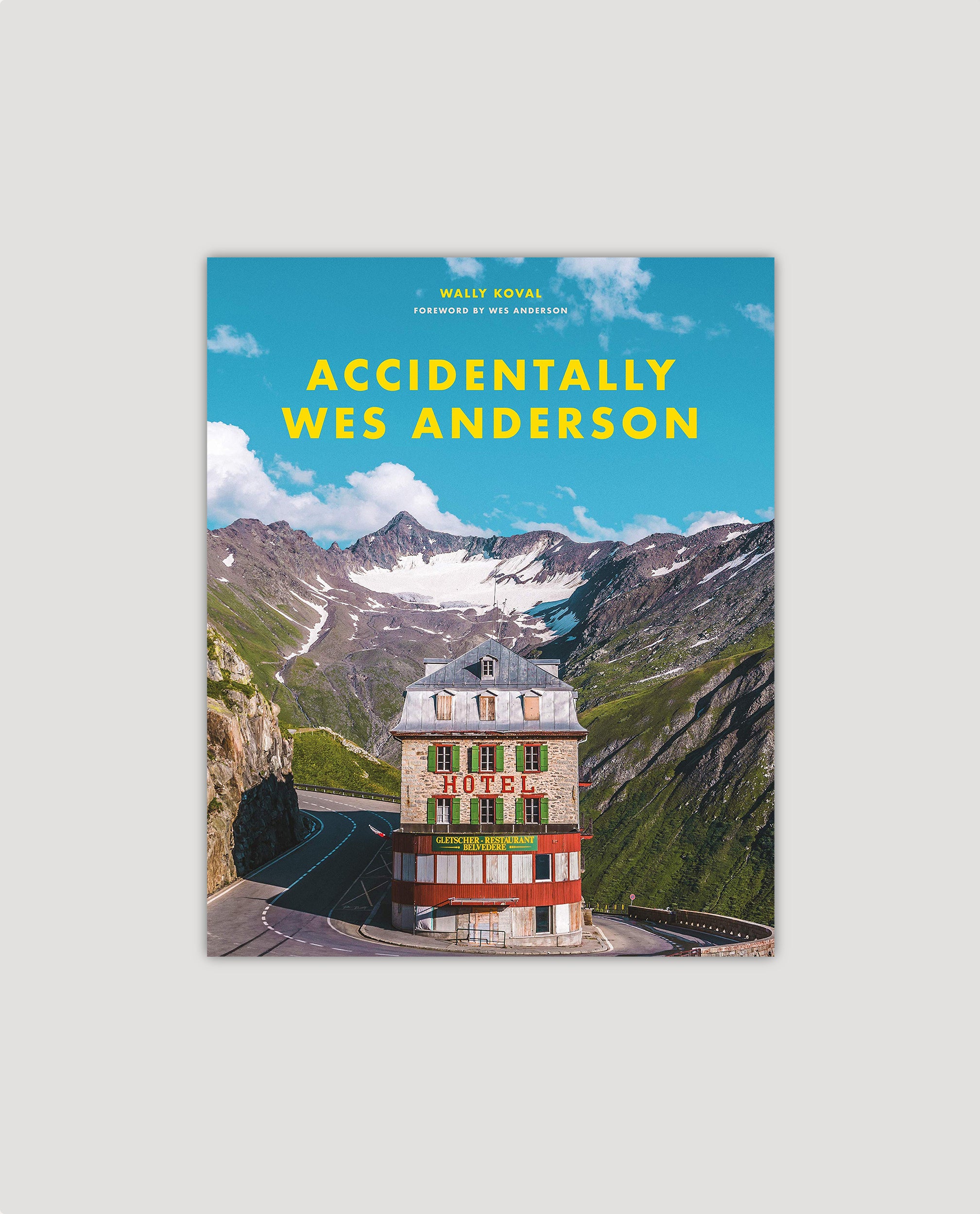 Accidentally Wes Anderson