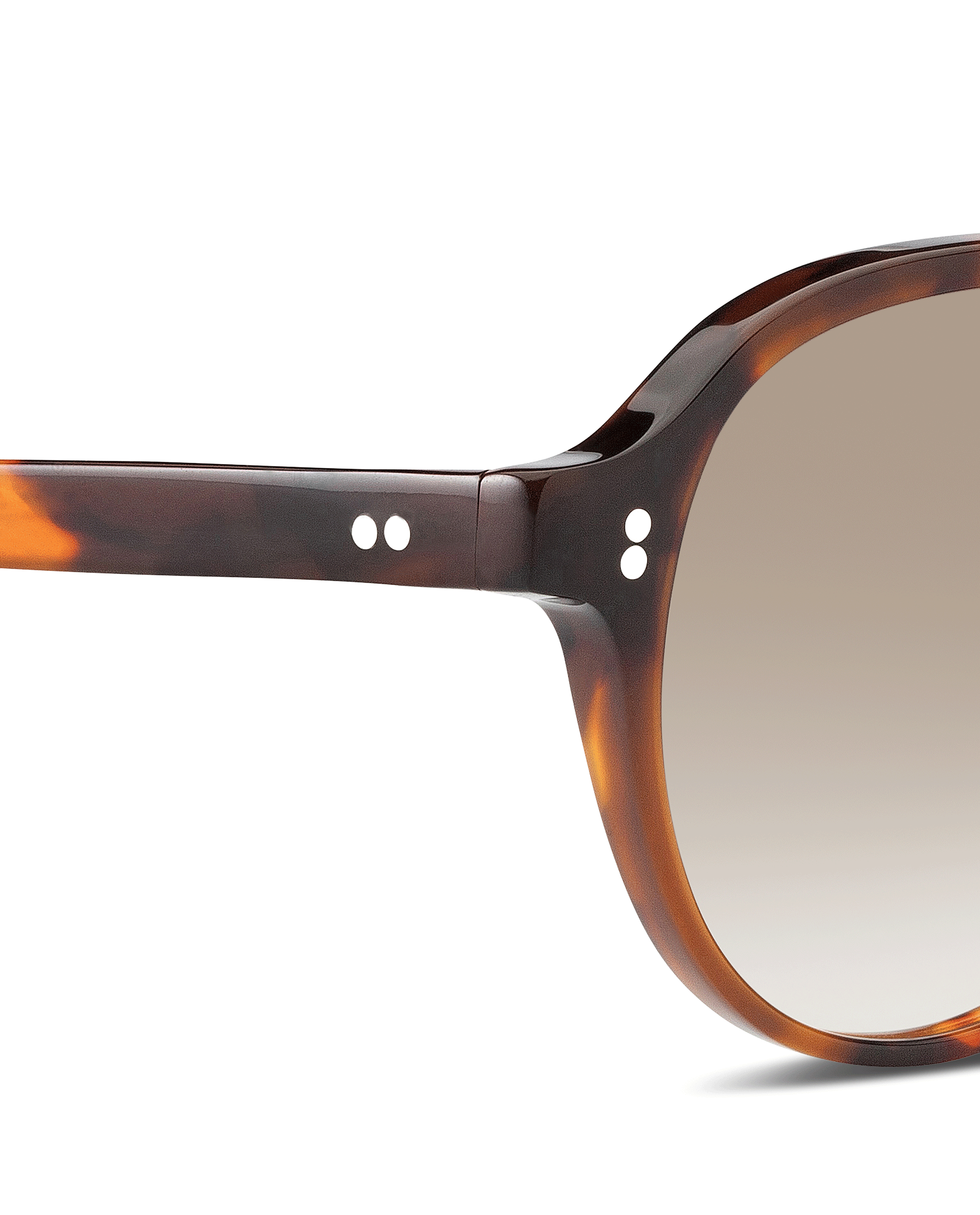 TODD Sunglasses Tortoise - Brown