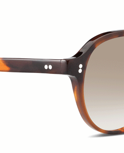 TODD Sunglasses Tortoise - Brown